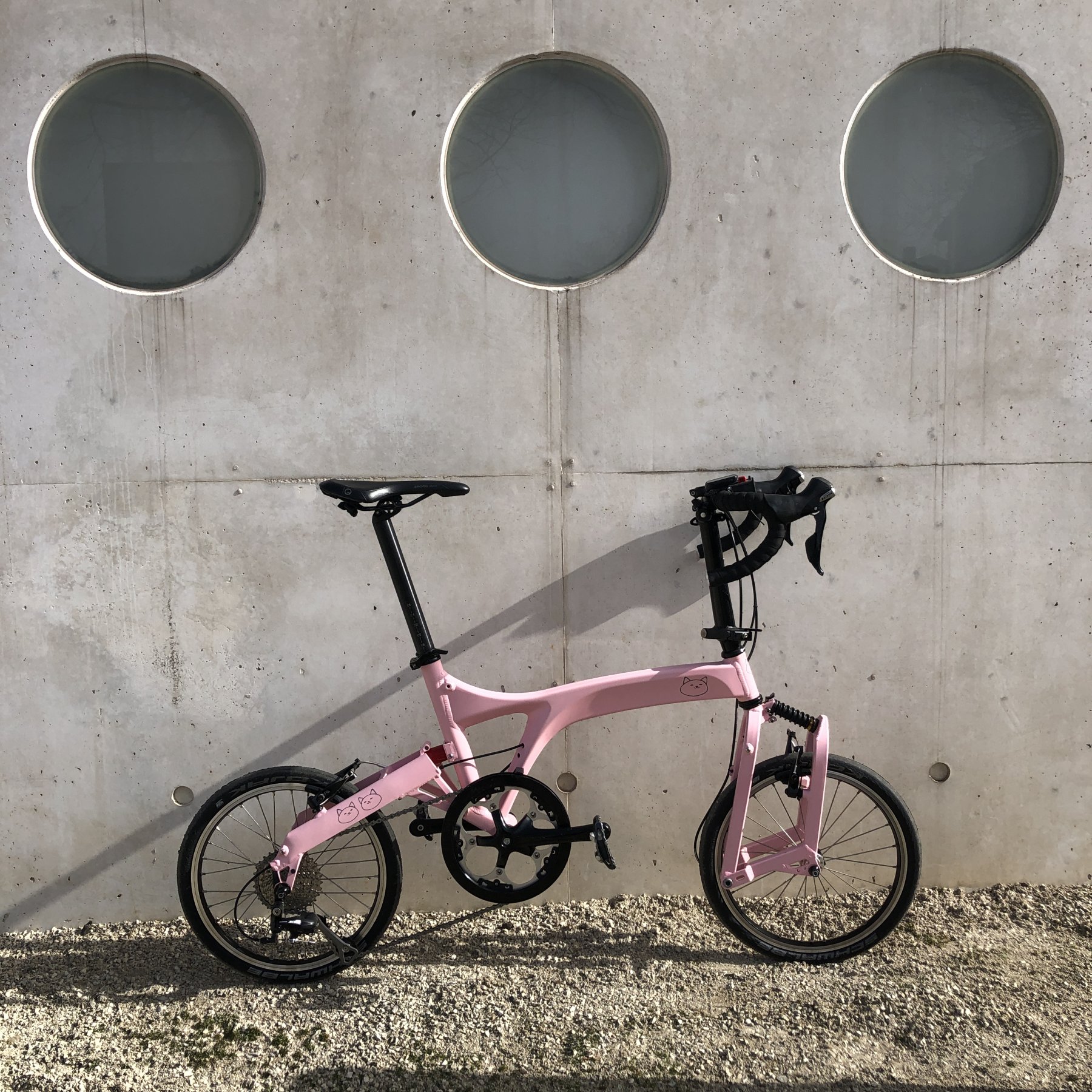 Custom Brompton